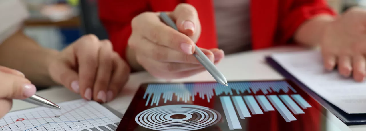 monografie contabila